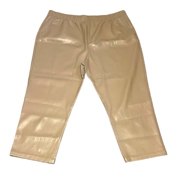 Smash+Tess Pants - Smash + Tess Murphy Vegan Leather Pants in Taupe Plus Size 4XL Statement Pants